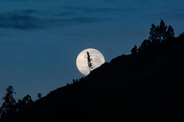 istock Beautiful full moon rising from the horizon, very radiant between trees 1265193505