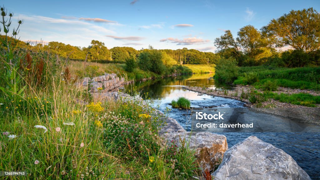 River Wear Wildflower Riverbank At Bishop Auckland, known as the gateway to Weardale and is a Market Town in County Durham County Durham - England Stock Photo