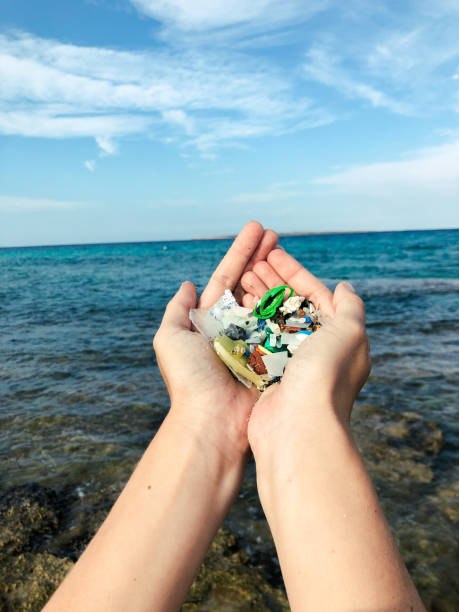 Hands full of microplastics Hands holding microplastics collected on the beach microplastic photos stock pictures, royalty-free photos & images