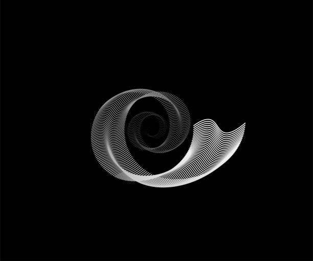 スパイラルラインパターンベクトルの背景。黒の背景に隔離されたライトホワイトラウンド技術デジタルデザイン。円形音波の概念 - illusion spiral black white点のイラスト素材／クリップアート素材／マンガ素材／アイコン素材