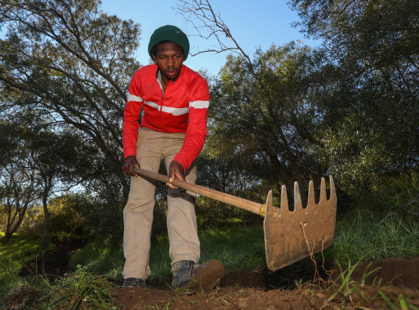 istock A man is busy clearing a mountain bike path with a hand tool. 1265198259