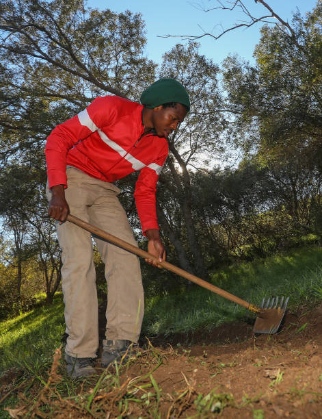 istock A man is busy clearing a mountain bike path with a hand tool. 1265198353