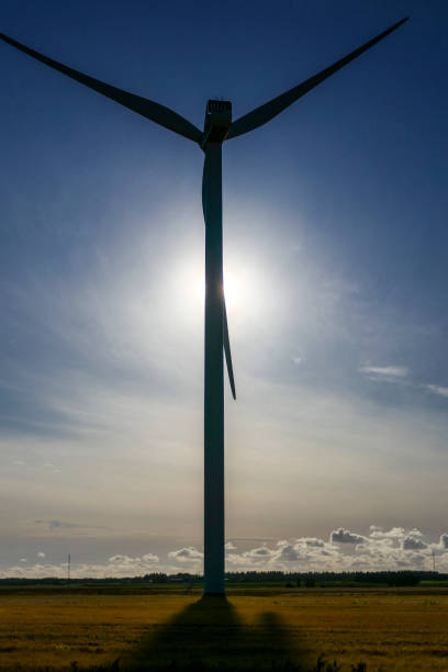 Hjorring, Denmark Hjorring, Denmark A wind turbine looks like a cross  in a field of wheat. hjorring stock pictures, royalty-free photos & images