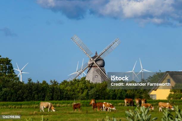 Fjerritslev Denmark Stock Photo - Download Image Now - Denmark, Rural Scene, Wind Turbine