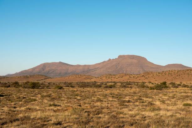 istock In the Karoo in South Africa 1265198653