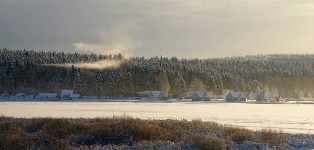istock Panorama of winter field and forest 1265200248