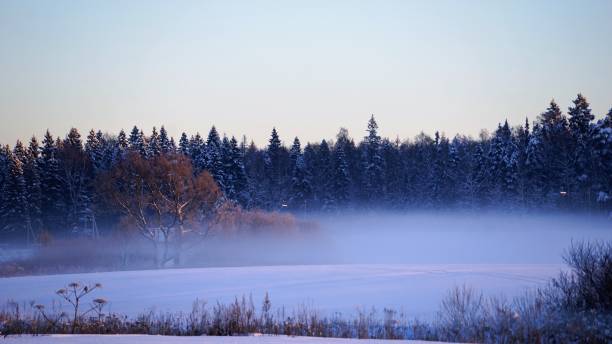 istock Snowy landscape in cold winter morning sunrise 1265200257