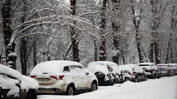 Scenic view on cars and trees under snow