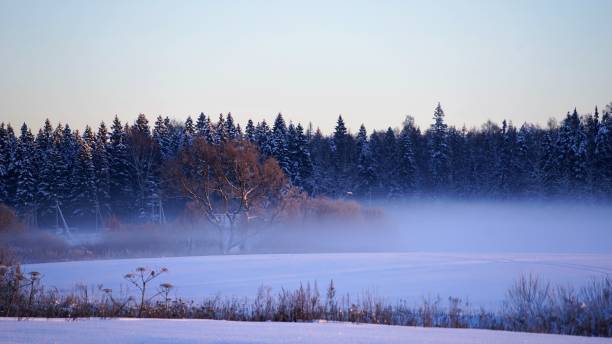 istock Snowy landscape in cold winter morning sunrise 1265200433