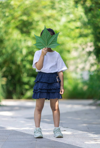 葉の小さな女の子カバーの顔 - child little girls shy standing ストックフォトと画像