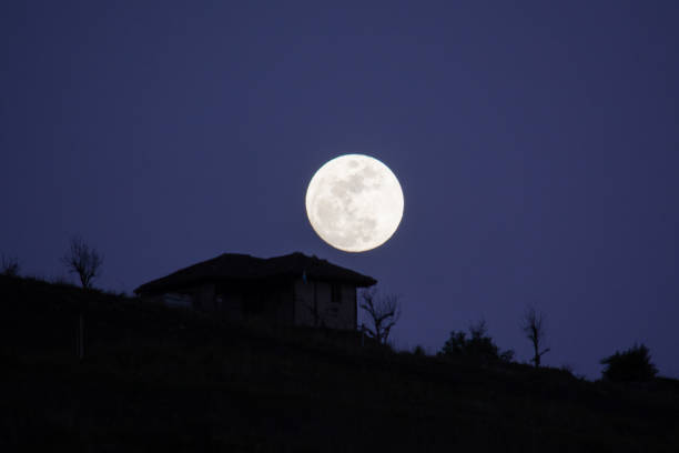 istock Beautiful full moon rising from the horizon, very radiant between trees 1265203529