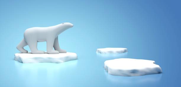 istock polar bear alone on the ice floe 1265203581