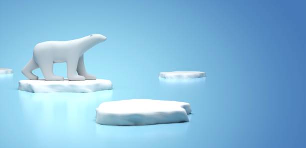 istock polar bear alone on the ice floe 1265203583