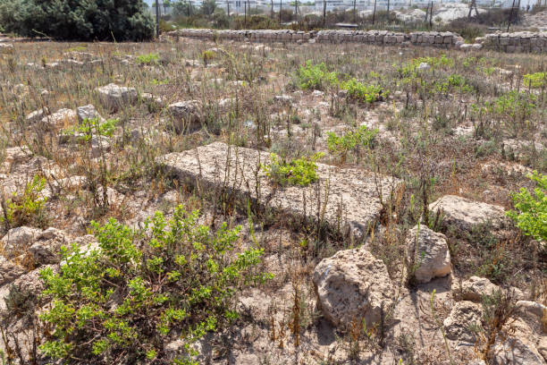 una lápida en un cementerio templario abandonado cerca de la fortaleza chateau en la ciudad de atlit en el norte de israel - cemetery grave military beauty in nature fotografías e imágenes de stock