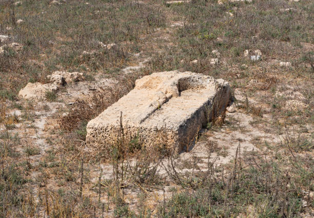 una lápida en un cementerio templario abandonado cerca de la fortaleza chateau en la ciudad de atlit en el norte de israel - cemetery grave military beauty in nature fotografías e imágenes de stock