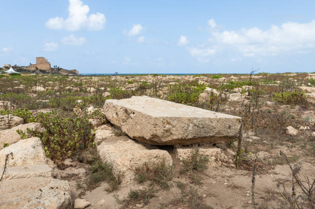 una lápida en un cementerio templario abandonado cerca de la fortaleza chateau en la ciudad de atlit en el norte de israel - cemetery grave military beauty in nature fotografías e imágenes de stock