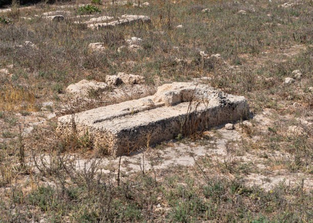 una lápida en un cementerio templario abandonado cerca de la fortaleza chateau en la ciudad de atlit en el norte de israel - cemetery grave military beauty in nature fotografías e imágenes de stock