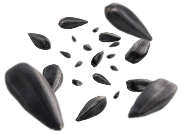 istock Sunflower seeds levitate on a white background 1265207426