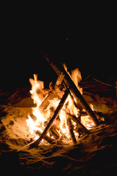 istock Inviting campfire on the beach at a warm summer night 1265207851