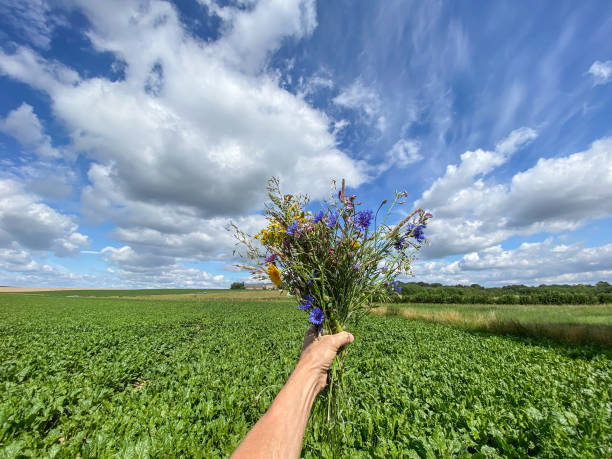 Bouquet of wildflowers