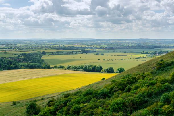 A section of vew from Dunstable Downs