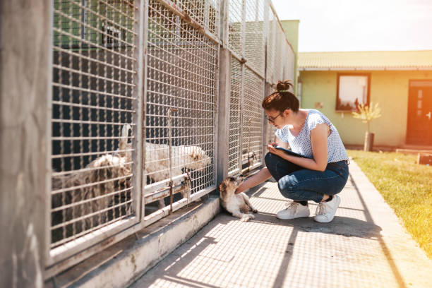 istock Young woman in animal shelter 1265210104