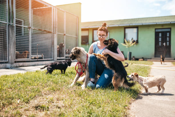 istock Young woman in animal shelter 1265210110