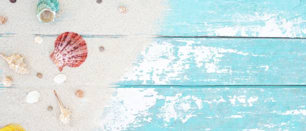 istock Summer time concept with sea shells and starfish on a blue wooden background 1265210478