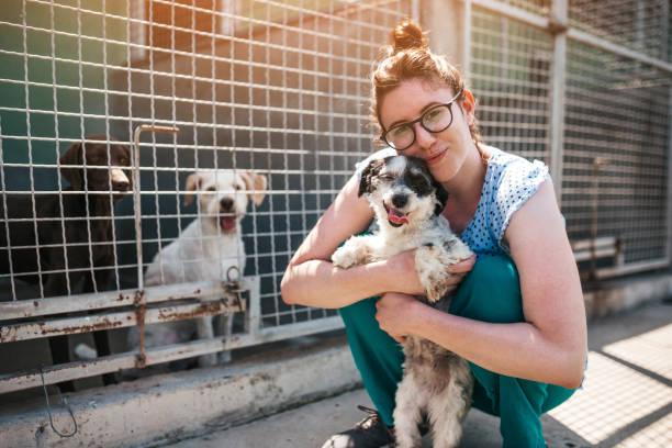 jeune femme dans le refuge d’animal - refuge pour animaux photos et images de collection