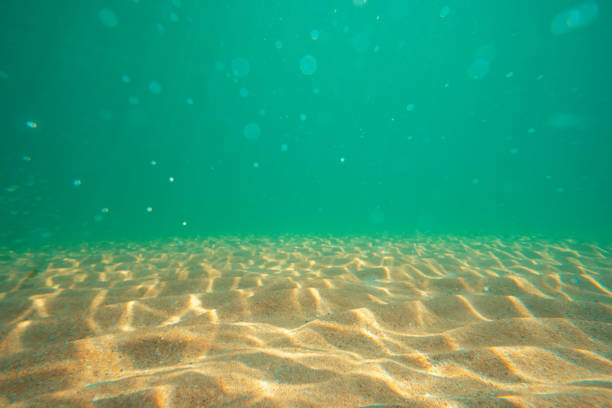 istock Sea and sand, underwater deep space, water background. 1265212947