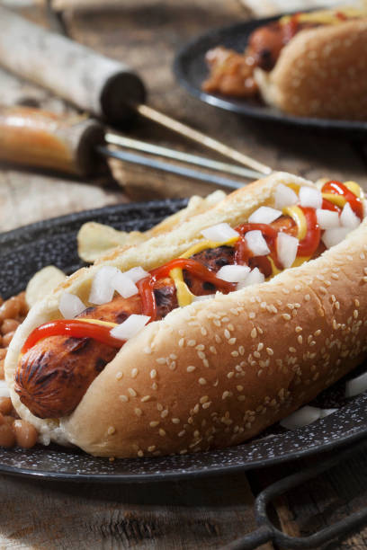 istock The Campfire Dog with Ketchup, Mustard and Onions 1265217038