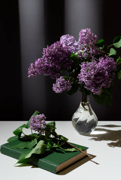 nature morte de branche lumineuse de lilas dans le vase de verre avec le livre sur la table blanche sur le fond gris de rideaux - flower pot vase purple decor photos et images de collection