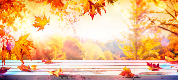 istock Autumn Table With Red And Yellow Leaves With Blurred Sunset Background 1265220643