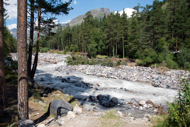 istock Baksan river in the Caucasus mountains 1265221579