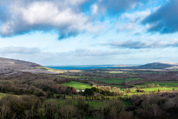 istock Prairie landscape in Ireland 1265221859