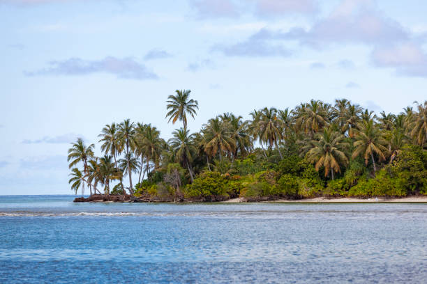 istock palm island, maldives 1265225382