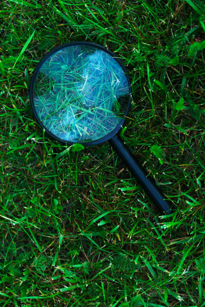istock Retro magnifying glass on a grass 1265226691