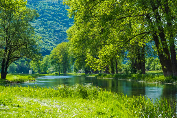 Croatia, beautiful river Gacka flowing between the green meadow fields in Lika region