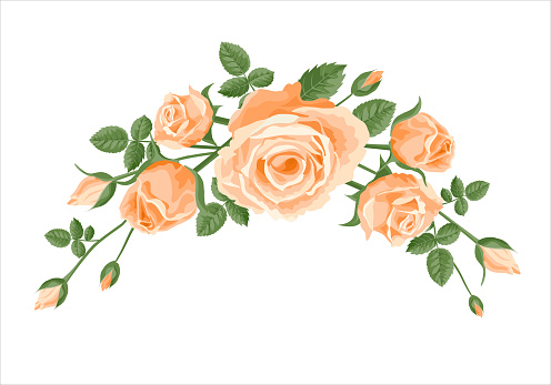Ilustración de Ramo Guirnalda De Rosas Decoración De Flores Vectoriales  Para Aniversario Tarjetas Saludos Día De San Valentín Día De La Madre  Salmón Albaricoque Rosas Naranjas Con Hojas En Un Ramo Marco
