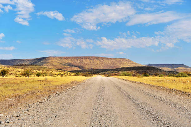 istock Gravel road in Damaraland,Namibia 1265230858
