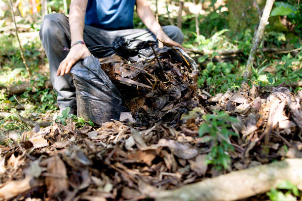 człowiek kompostowania w swoim ogrodzie - garden waste zdjęcia i obrazy z banku zdjęć