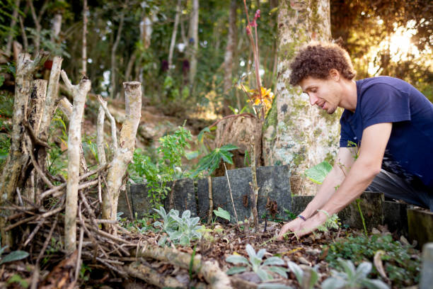 istock Man composting in his garden 1265238462