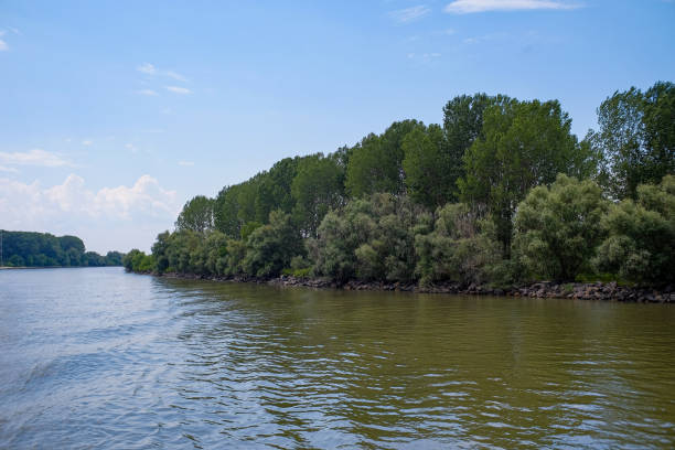 istock The Danube Delta. Sulina Arm. 1265238487