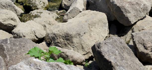 istock Pile of Rocks and Stone 1265238719
