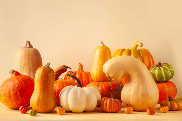istock Still life with different sort of pumpkins. 1265238831
