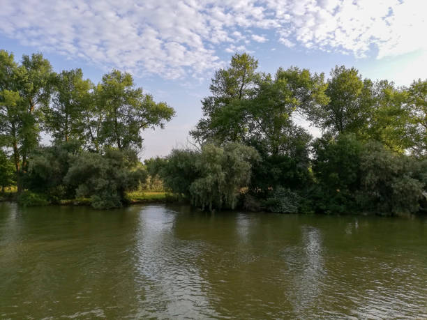 istock The Danube Delta. Sulina Arm. 1265239549