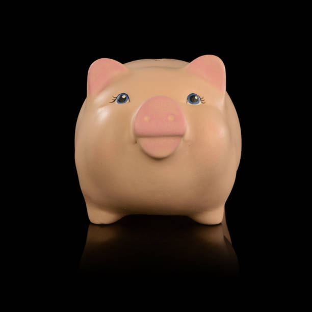 istock Piggy Bank Savings 1265240933