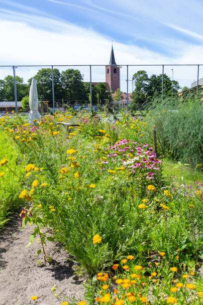 istock Uban ggarden in Leidern 1265241107