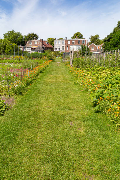 istock Uban ggarden in Leidern 1265241119