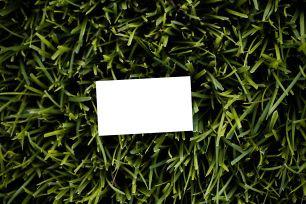 istock Business Card Mockup on a grass with selective blur 1265241739